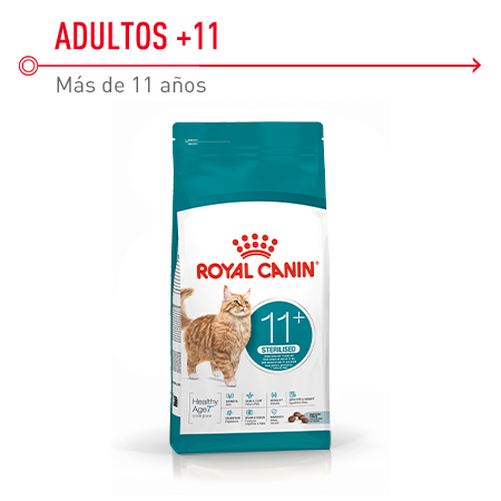 Royal Canin Ageing 11+ Sterilised pienso para gatos senior a partir de 11 años esterilizados