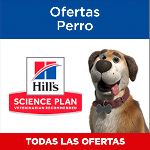 Ofertas para Perro.