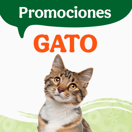 Ofertas gato