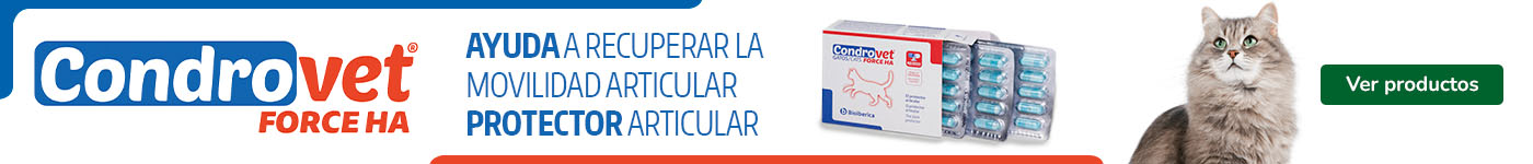 Condrovet: salud articular para gatos.