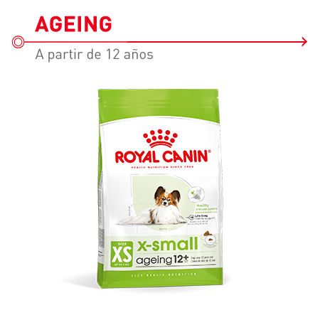 Royal Canin X-Small Ageing 12+  Pienso indicado para perros mayores (+12 años) de razas miniatura