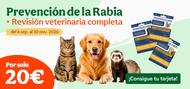 Tarjetas de vacuna contra la rabia.
