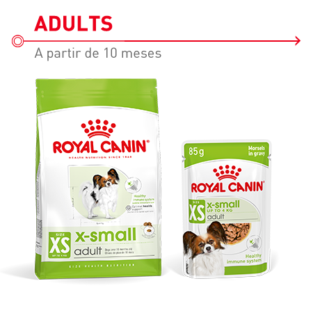 Royal Canin X-Small Adult pienso completo  y comida húmeda para perros adultos de razas muy pequeñas