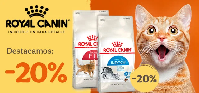 Royal Canin: 20% dto en pienso para gato.