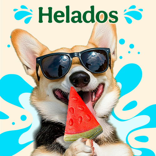 Helados