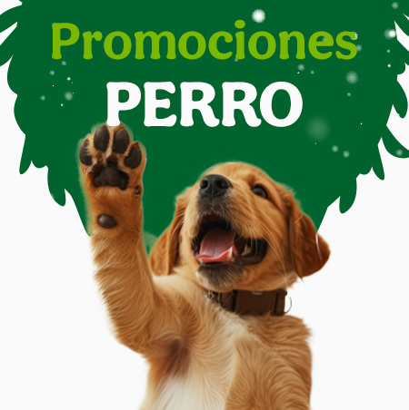 Ofertas perro.