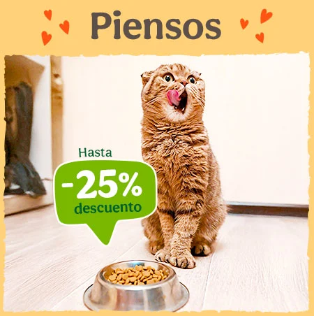 Hasta 25% dto en piensos para tu gato.