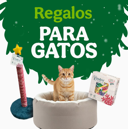 Regalos para gatos.