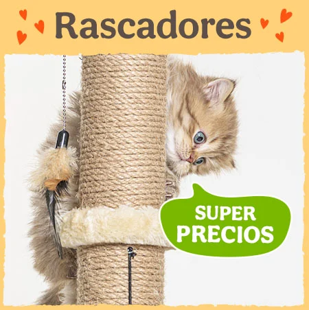 Rascadores con superprecios.