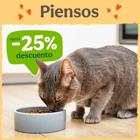 Hasta 25% dto en pienso para gatos.