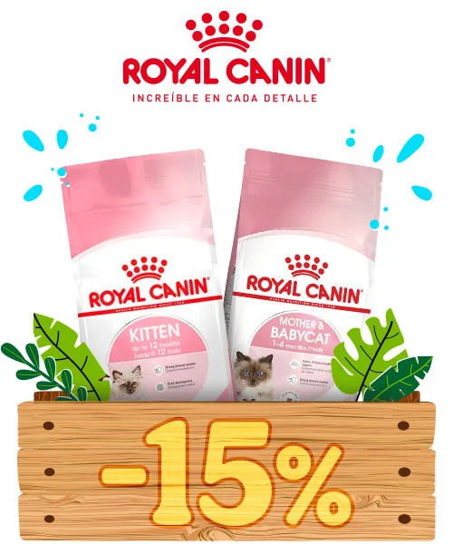 Royal Canin: 15% dto en pienso para gatos.