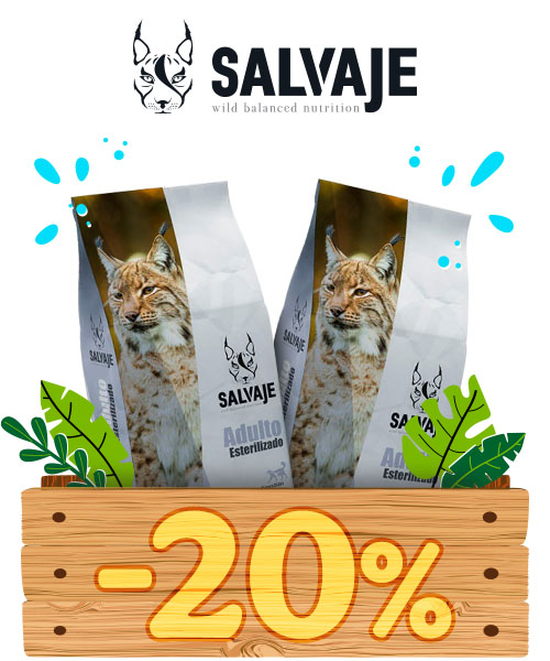 Salvaje: 20% dto en pienso para gatos.