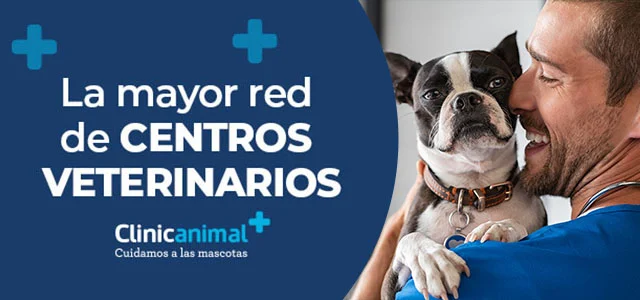 Clinicanimal: La mayor red de centros veterinarios