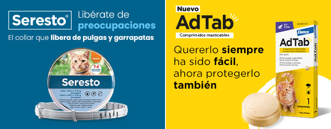 Seresto y Abtad antiparasitarios para gato