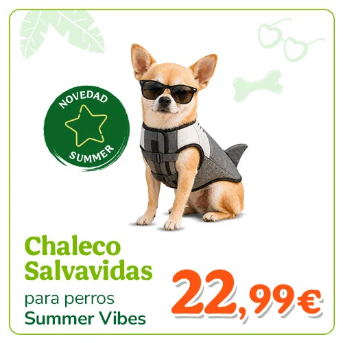 Summer Vibes Tiburón Chaleco Salvavidas para perros