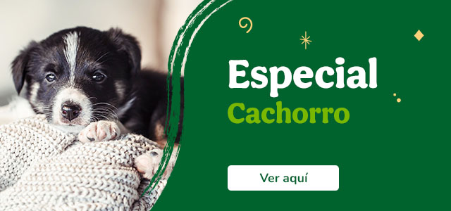 Especial cachorro