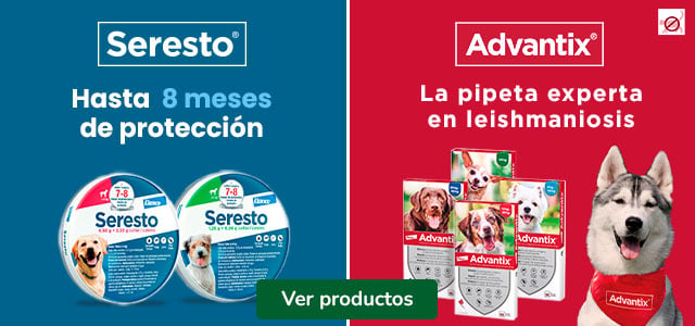 Seresto y Advantix: Antiparasitarios para perros.