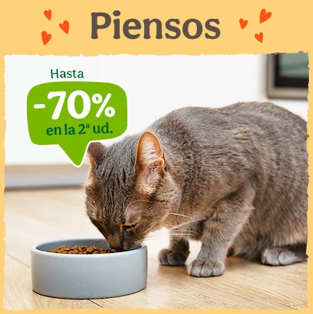 Hasta -70% de dto en selección de pienso para gato