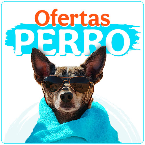 Ofertas perro.