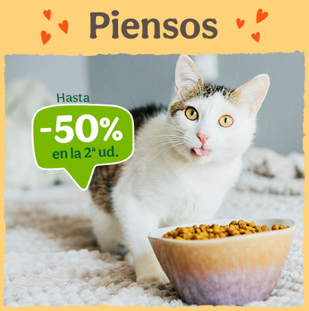 Gato pienso hasta -50% 2ª