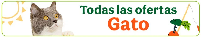 Todas las ofertas gato