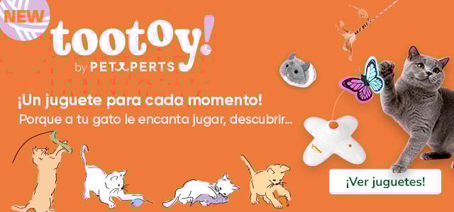 ¡Novedad! Juguetes Tootoy para gatos.