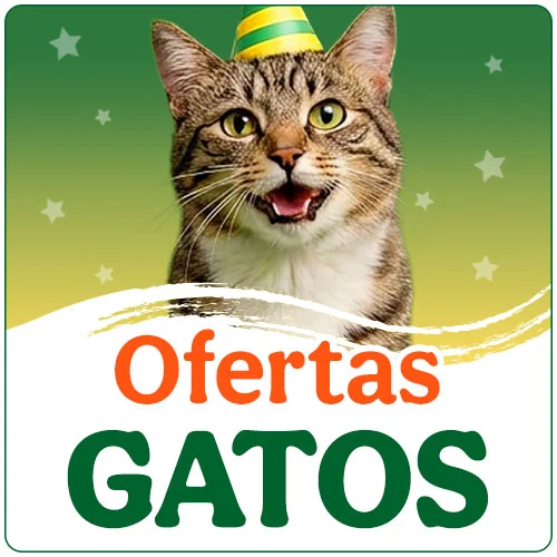 Ofertas gato