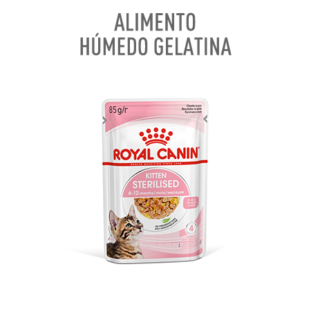 Royal Canin Kitten Sterilised comida húmeda en gelatina para gatitos esterilizados