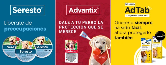 Antiparasitario para perro: Abtad Advantix y Seresto