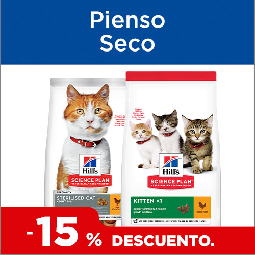 15% dto en pienso para gatos.