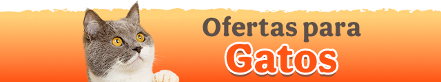 Ofertas gato