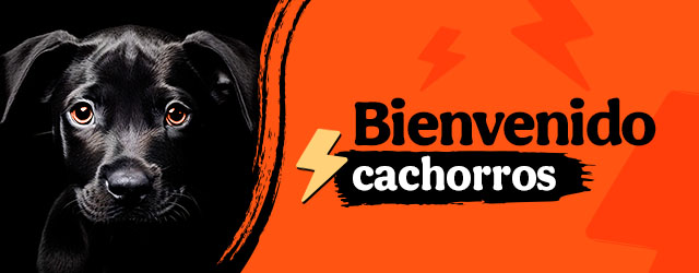 Bienvenidos perritos
