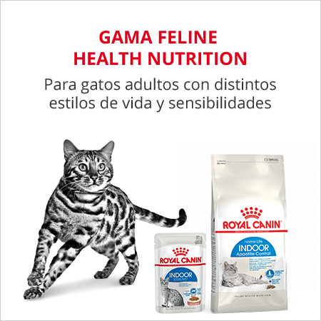 Gama Feline Health Nutrition