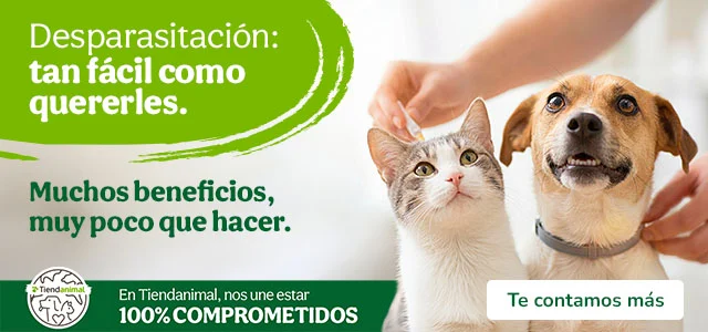 Consejos para desparasitar a tu peludo.