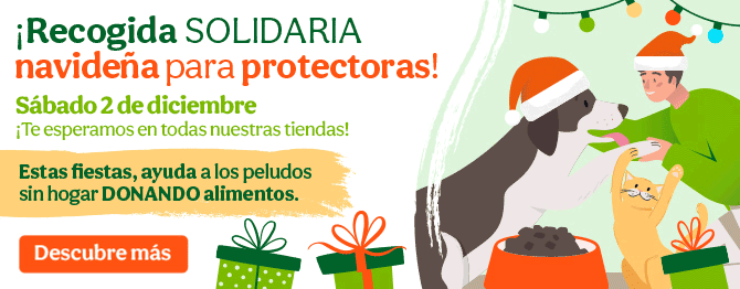 Recogida solidaria navideña: ayuda a los peludos sin hogar donando comida