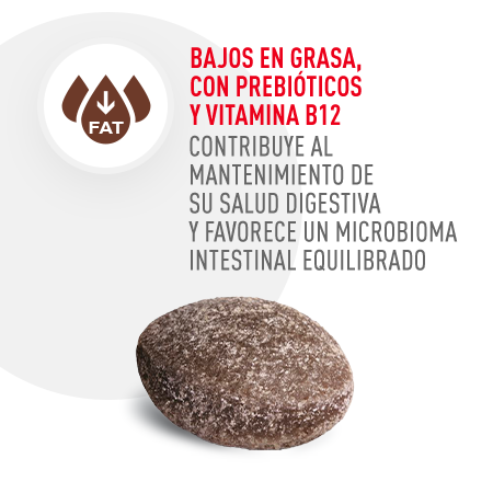 Bajos en grasa, con prebióticos y vitamina B12. Favorece un microbioma intestinal equilibrado.