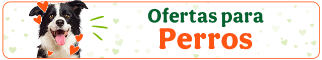 Todas las ofertas perro
