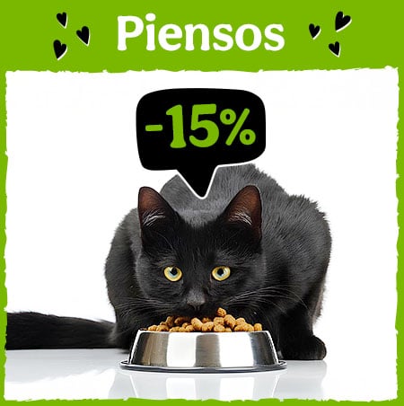 Piensos para Gatos: 15% dto en piensos para tu gato.