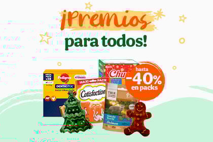 Banner Landing Navidad