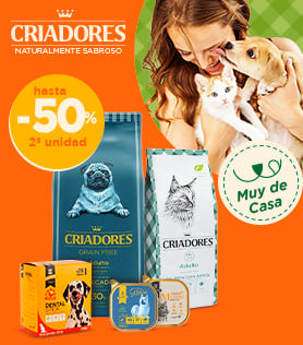 Banner perro