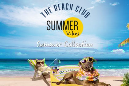 Banner Promo&ccedil;&otilde;es 