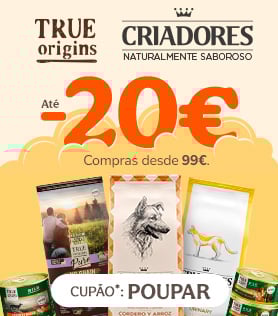 Banner Alimentação Húmida Gato