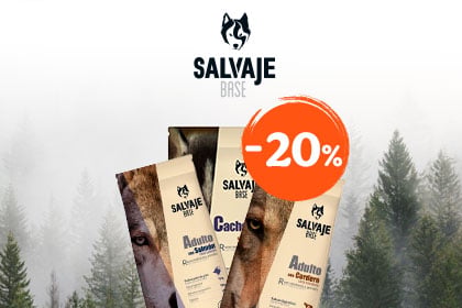 Banner Promo&ccedil;&otilde;es 