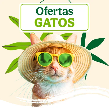 Ofertas Gato