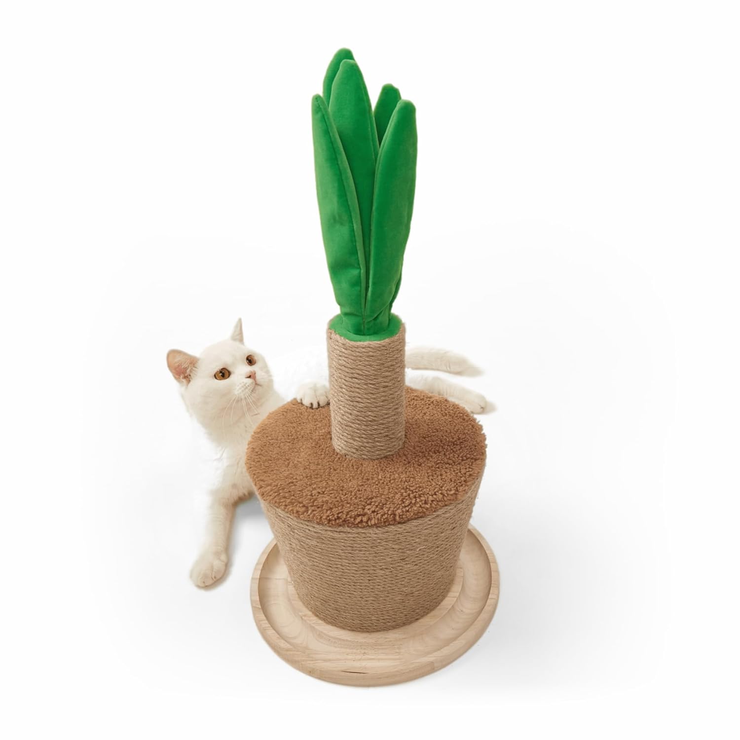 FOFOS | Rascador Maceta Planta – Para Gato