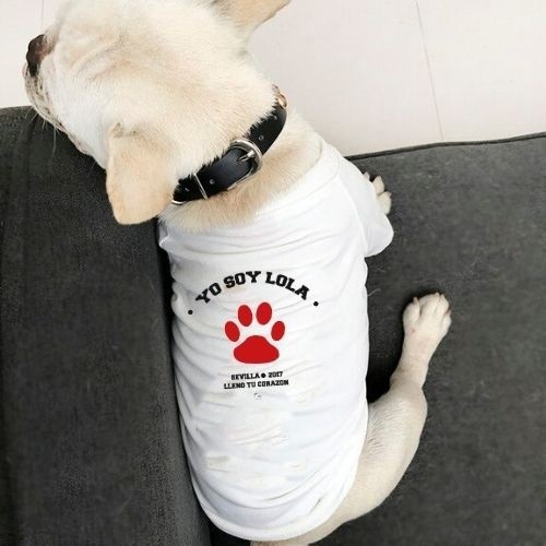 Camiseta para perro universidad personalizable blanca, , large image number null