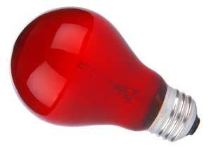 Bombilla Nightlight Red para terrarios