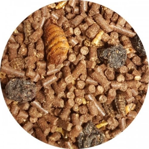 Pienso de insectos, larvas y bayas para petauros sabor Neutro, , large image number null