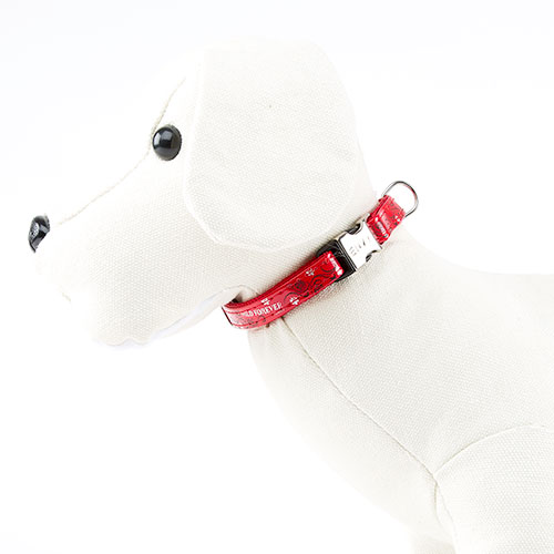 Forever Collar Rojo Envy Wild Forever para perros