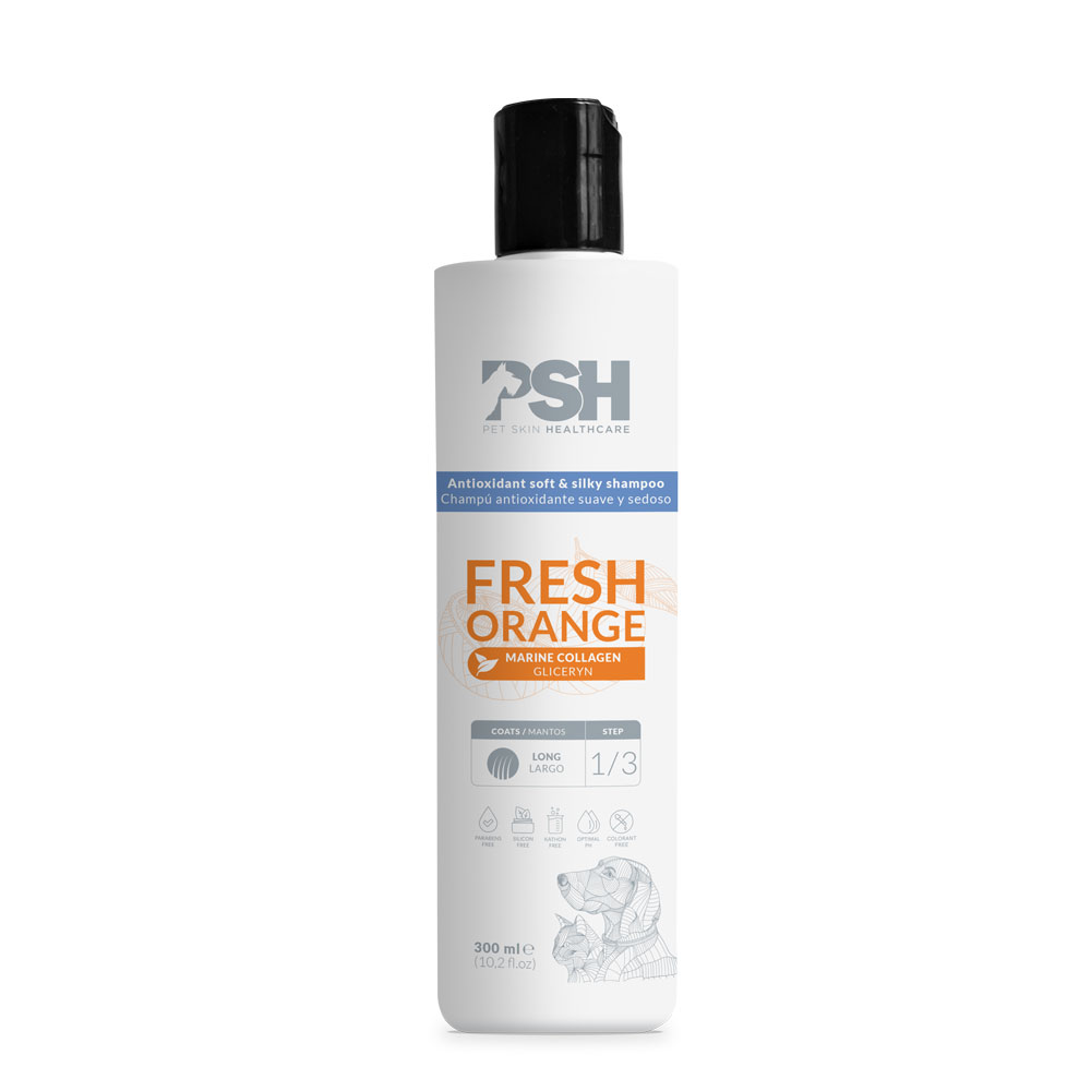 FRESH ORANGE SHAMPOO